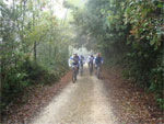 gal/2008/15 - escursioni autunnali MTB/_thb_DSC00440-01.jpg